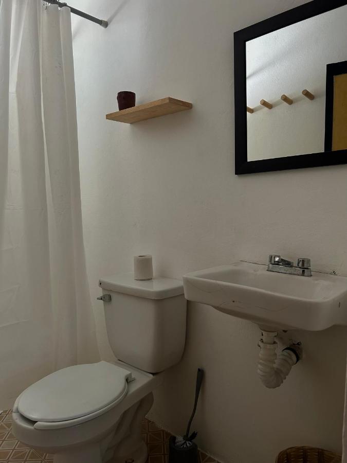 Colorada House Hostel ปูแอร์โตเอสกอนดิโด ภายนอก รูปภาพ